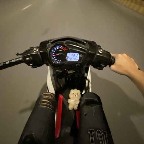 VNA - Nhạc Của Thiếu La ( Rùa Con🐢 )