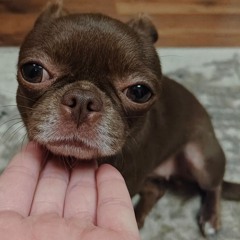 все с моим участием