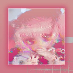 Asylxm