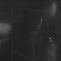domelavi