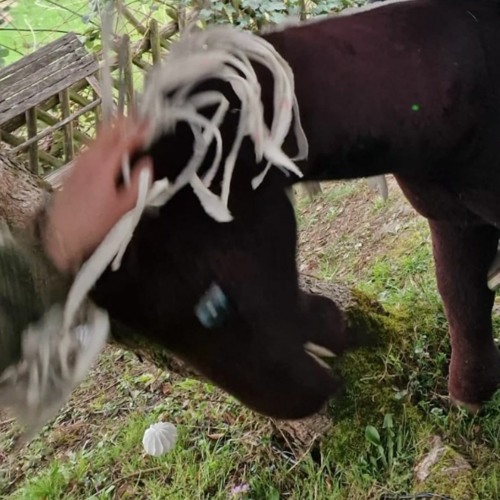 07.04.23_EasterRave_(Secret Location)_Day Time