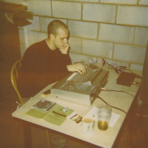 Avoiding The Birds (2001)