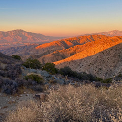 The Human Challenge of Not Knowing and How to Find Freedom