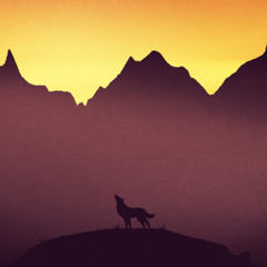 Setting Sun