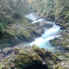 David hat gefragt und Marius hat Ja gesagt