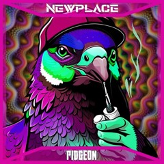 Pidgeon