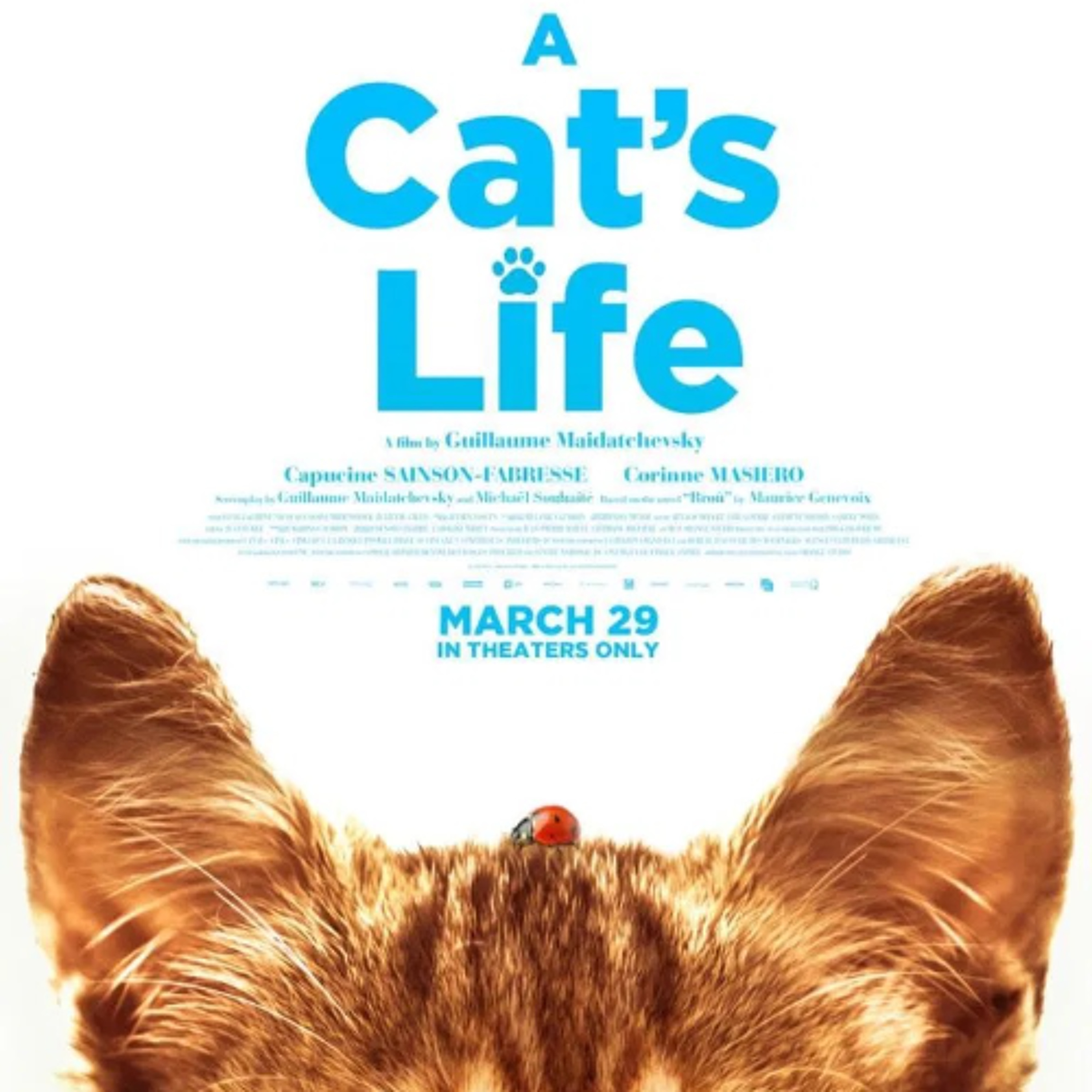 A Cat's Life