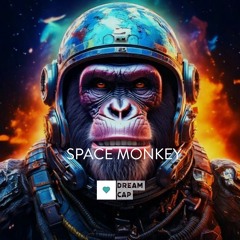 Space Monkey