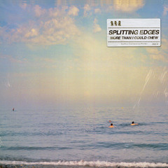 More Than I Could Chew