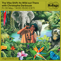 The Vibe Shift: Its Wild out There - Christophe Darbouze - 30 May 2025
