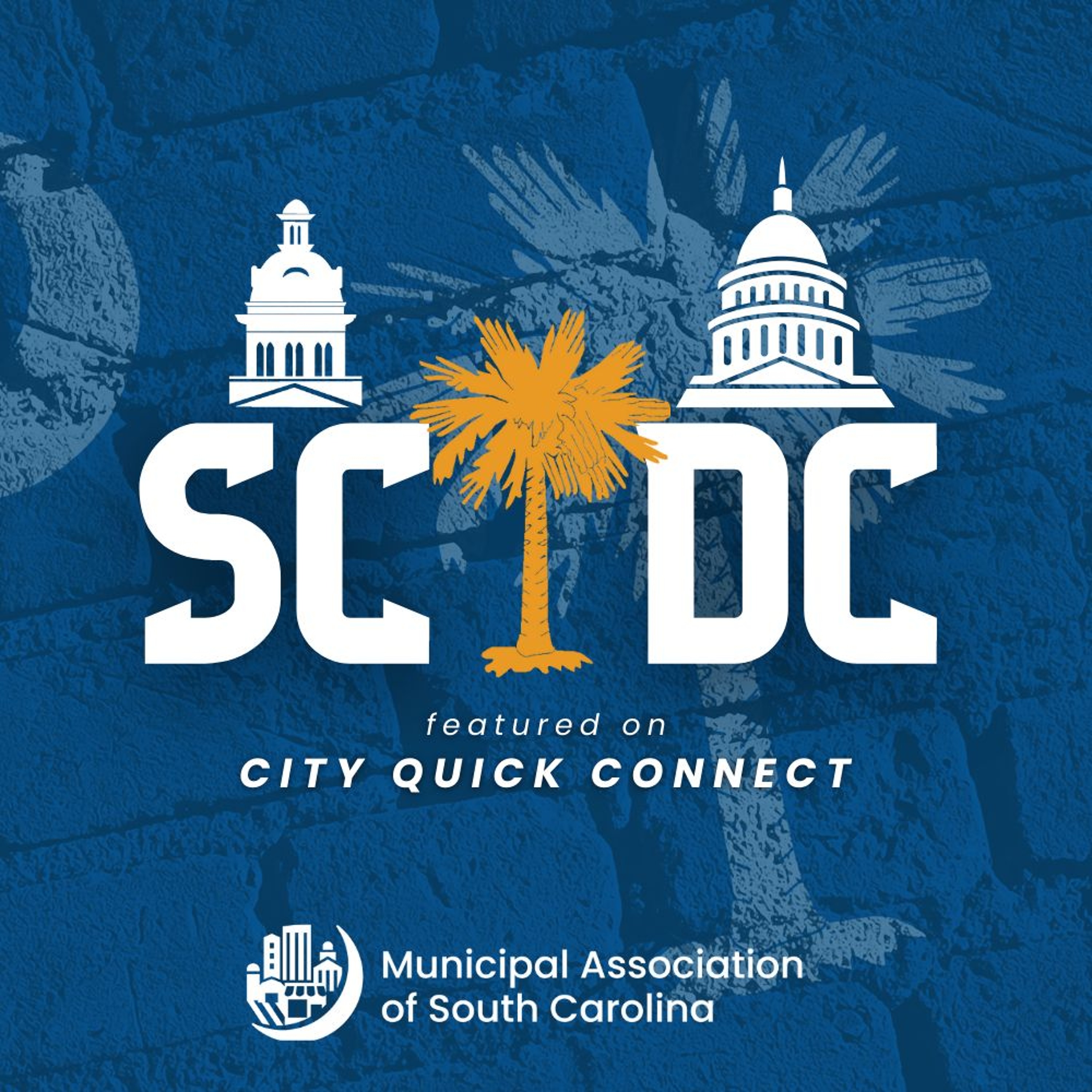 SC/DC: Federal Advocacy Efforts 9/5/25 episode artwork