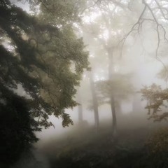 Cant See U-[prod.primegokrazy heavenly]