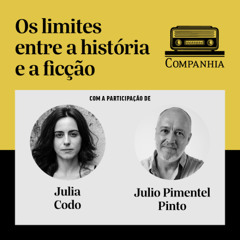 Os limites entre a história e a ficção