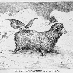 Resurrection Out of Mowhere (Pengsoo Stitch Up)