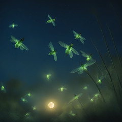 To The Moon -  Eye Of Melo