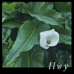 mist prayer