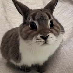 lunchbox ft. zemar [prod. zemar]