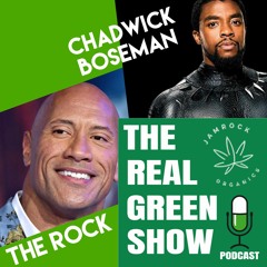 THE ROCK - TALKS ABOUT BUILDING YOUR IMMUNE SYSTEM - Episode 27