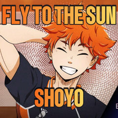 Fly to the Sun