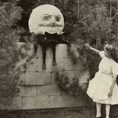 an incredible fiction