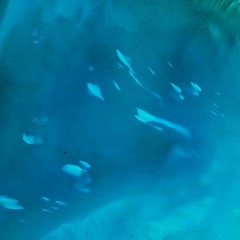 swim against the tide - unfinished