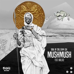 Premiere | Soul of Zoo, SEVN (CA) | MushMush Ft Walead (Emorine Remix) [Frooogs Records]