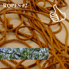 ROPES #2