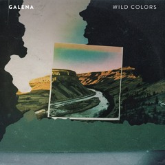 Wild Colors - Galena (NATURE)