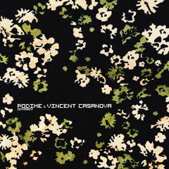 Premiere: Podime & Vincent Casanova - Dolphin Love [CPD075]