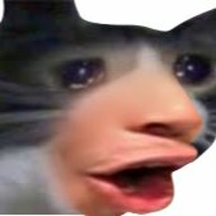 Maybe I listen to too much music?