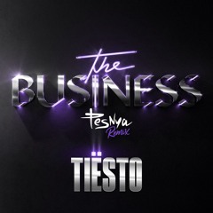 Tiësto - The Business (Pesnya Remix)