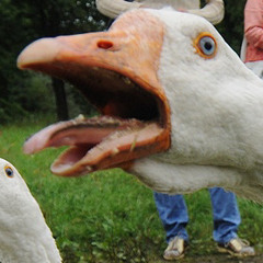 KOKOCHIKENG - ГУСЬ