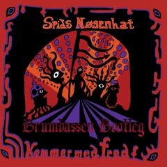 Spids Nøgenhat - Mere Lys (Brumbassen Bootleg)