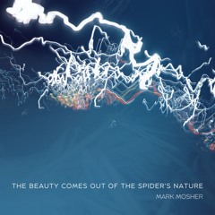 The Beauty Comes Out of the Spider's Nature