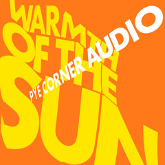 Warmth Of The Sun (Edit) [feat. Andy Bell]