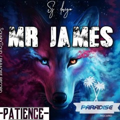 [PR#001] Mr James - Patience (Original Mix)
