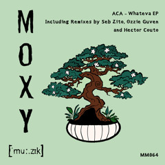 PremEar: ACA - Whateva [MM064]