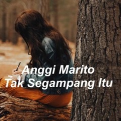 Anggi Marito - Tak Segampang Itu , Alan Walker Style, Fery Fadly OD Remix