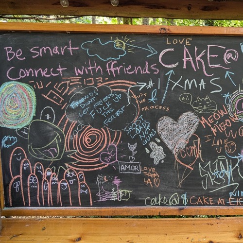 JAK @ Forest Friends 2024 (techno & electro set)