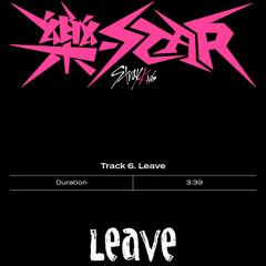 Stray Kids 樂 STAR Leave Stage Video