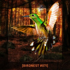 BIRDNEST #071 | Fly down, damn Bird | Podcast by The Lahar