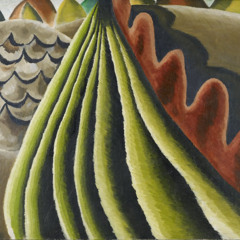 TIMOTHY MAHR:  Fields of Grain as Seen from a Train