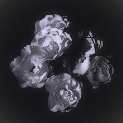Moonlit Roses Echoing Forgotten Whispers