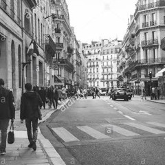 walking in the paris