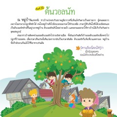 035 ต้นวอลนัท
