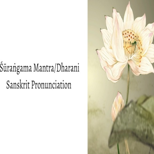 Shurangama Mantra Sanskrit (Forest Background)