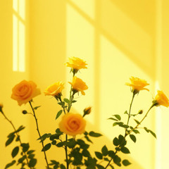 Roses bloom where the light spills wide