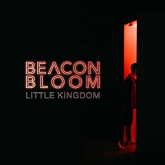 Little Kingdom