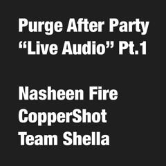 PURGE AFTER PARTY PT.1 - NASHEEN FIRE * COPPERSHOT * TEAM SHELLA *DJ BREAD - (LIVE)