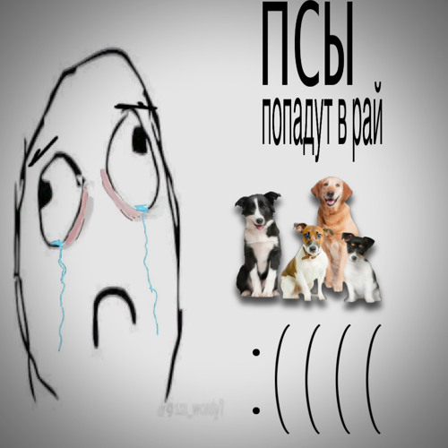 Псы попадут в рай :(((